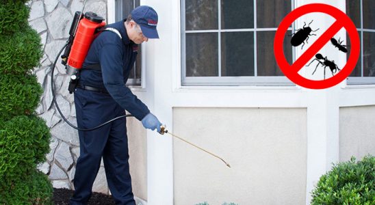 Kovancılar Böcek ve Haşere İlaçlama böcek ilaçlama ve haşere kontrolü — ilaclama-tr.com